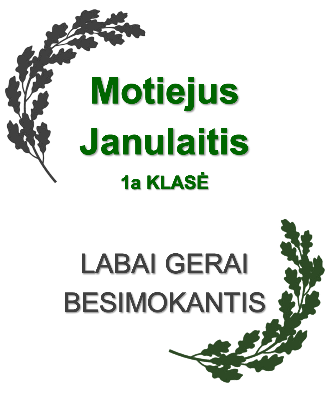1a-Janulaitis-M.