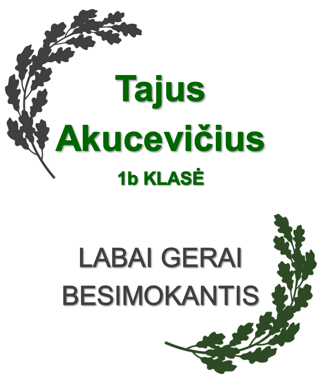 1b-Akucevicius-T.