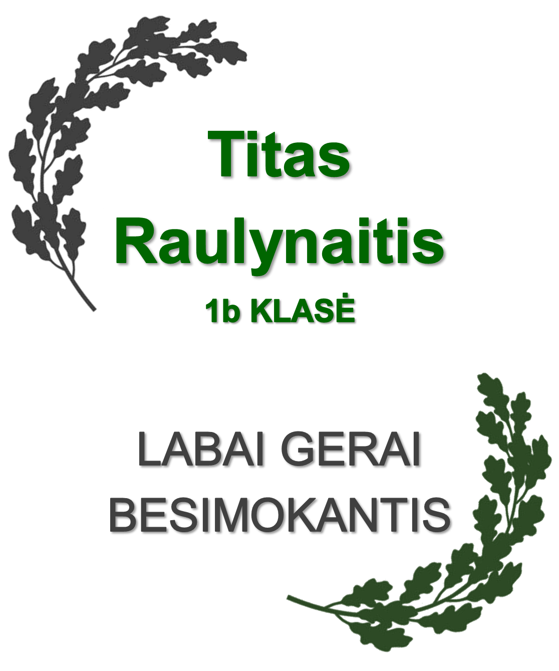 1b-Raulynaitis-T.