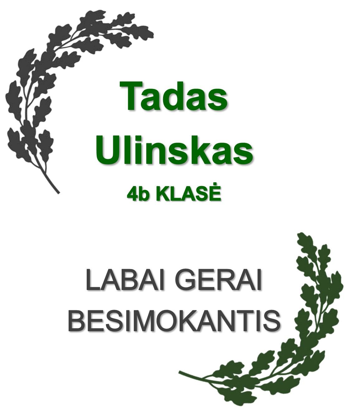 4b-Ulinskas-T.