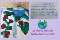 MetosM