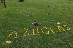 2B_Gabriele_Ceinoryte