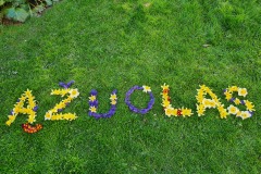 2B_Jolanta_Zukauskiene_2
