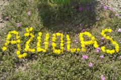 2B_Tadas_Ulinskas_1
