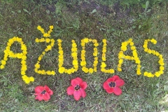 2B_Tadas_Ulinskas_2