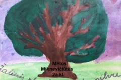 Meta-M.