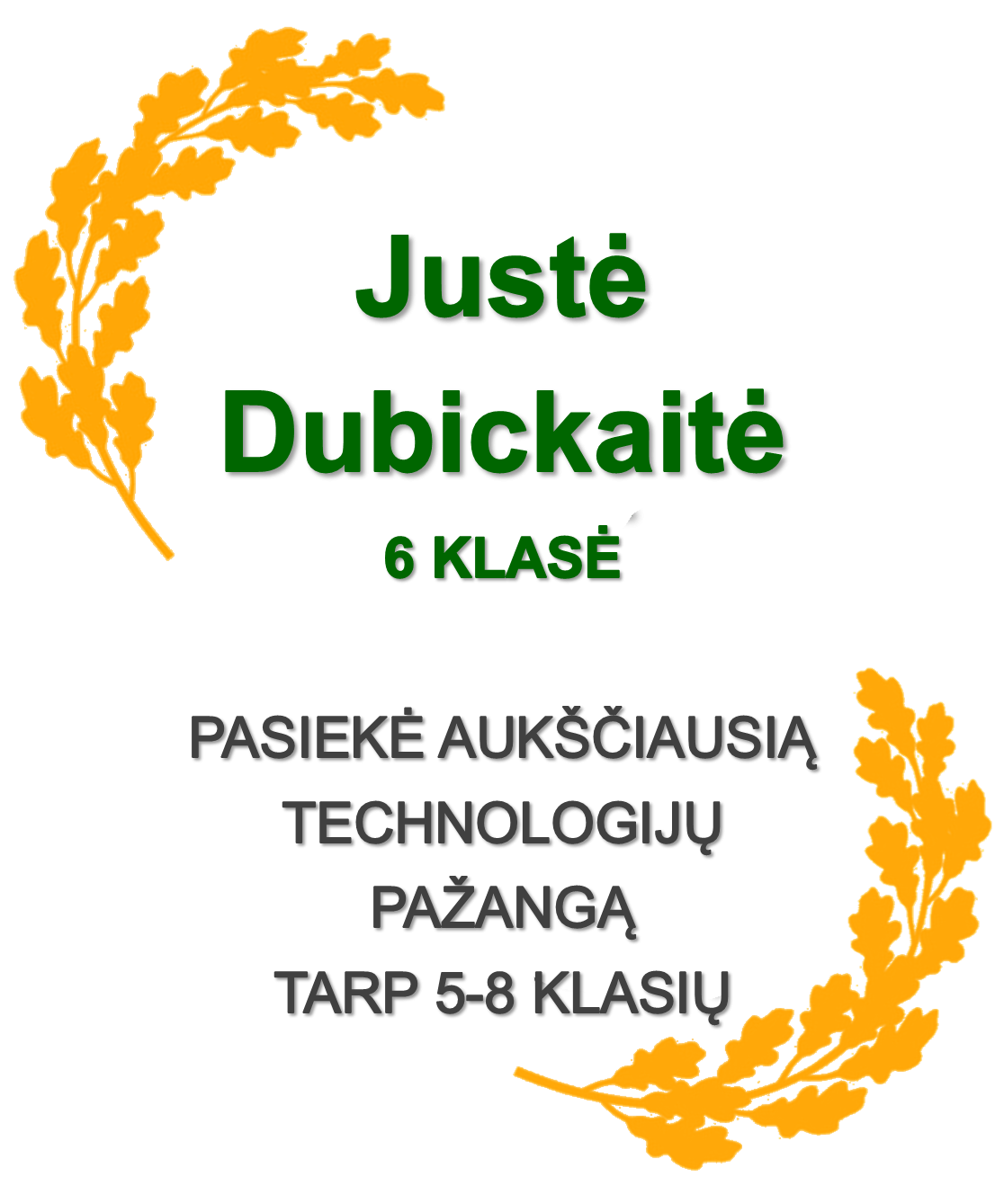 6-Dubickaite-J.-Technologijos