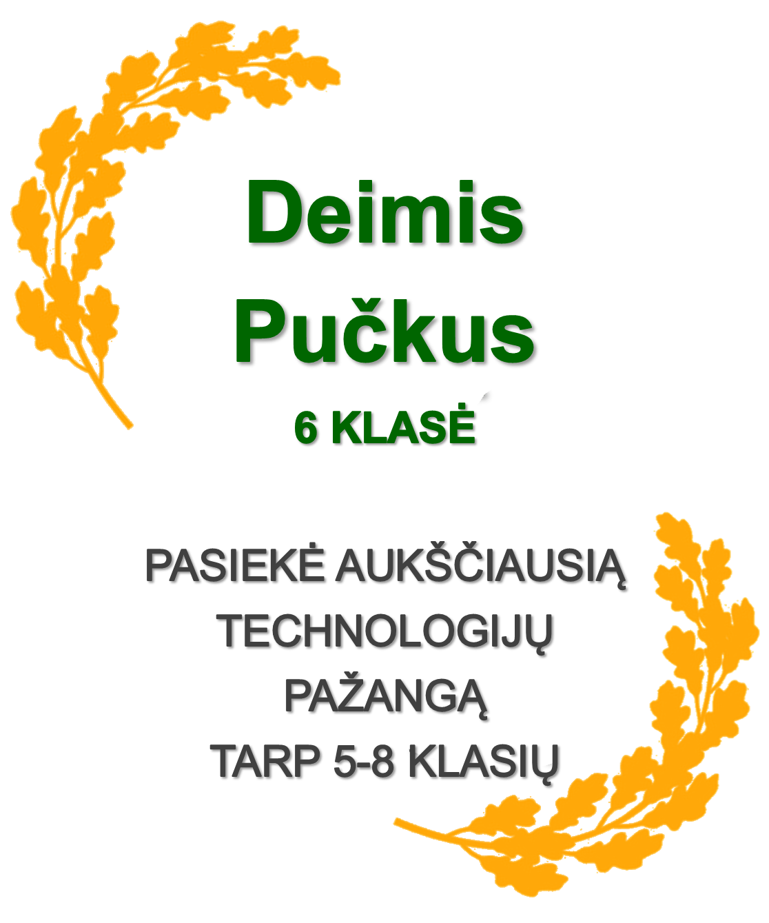 6-Puckus-D.-Technologijos